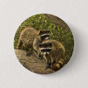 Raccoons Button