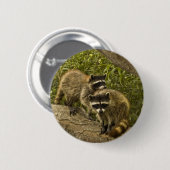 Raccoons Button (Vorne & Hinten)