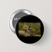 Raccoons Button (Vorne & Hinten)
