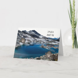 Raccoons in der Wildschweinkarte Feiertagskarte