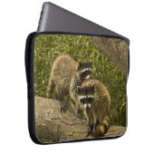 Raccoons Laptopschutzhülle (Vorne Rechts)