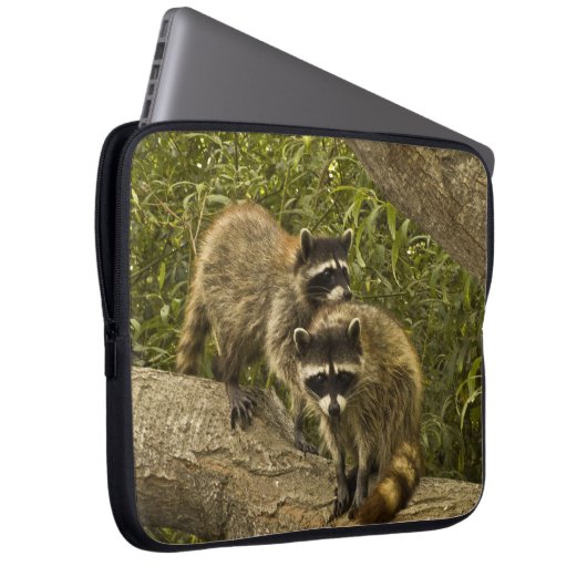 Raccoons Laptopschutzhülle (Vorne Rechts)