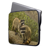 Raccoons Laptopschutzhülle (Vorderseite Links)