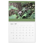 Raccoons of Wild Blue Yonder Kalender (Mär 2027)