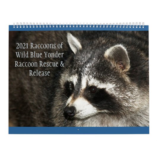 Raccoons of Wild Blue Yonder Kalender (Titelbild)