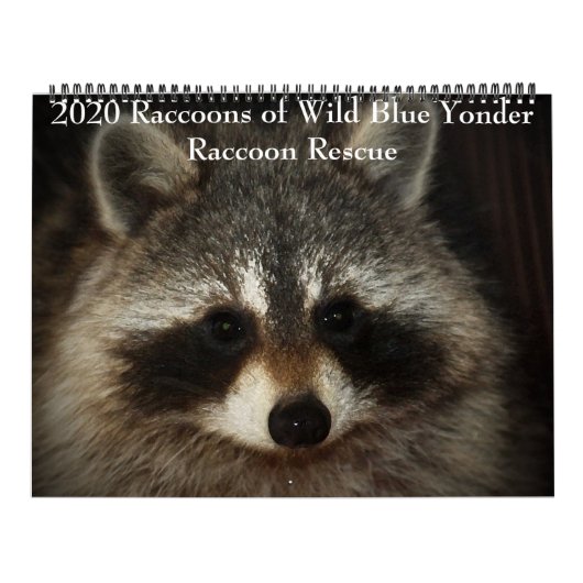 Raccoons of Wild Blue Yonder Raccoon Rescue Kalender (Titelbild)