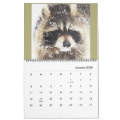 Raccoons of Wild Blue Yonder Raccoon Rescue Kalender (Jan 2026)