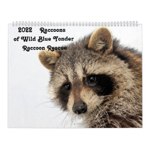 Raccoons of Wild Blue Yonder Raccoon Rescue Kalender