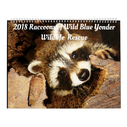 Raccoons of Wild Blue Yonder Wildlife Rescue Kalender (Titelbild)