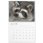 Raccoons of Wild Blue Yonder Wildlife Rescue Kalender (Jan 2026)
