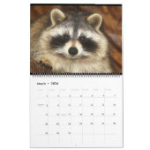 Raccoons of Wild Blue Yonder Wildlife Rescue Kalender (Mär 2026)
