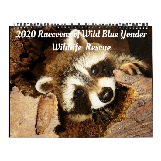 Raccoons of Wild Blue Yonder Wildlife Rescue Kalender (Titelbild)