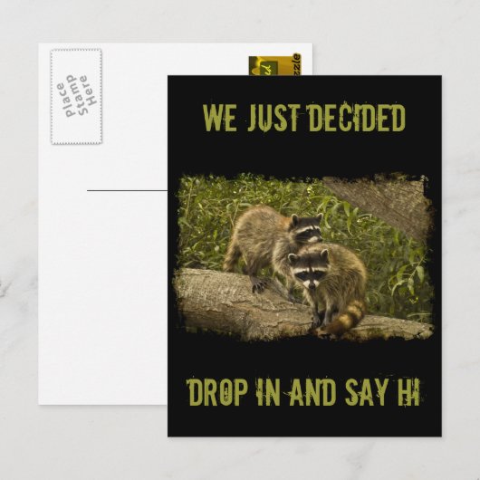Raccoons Postkarte (Vorne/Hinten)