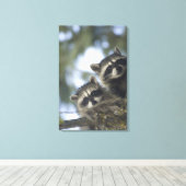 Raccoons Procyon Lotor), Fischsee, Central Leinwanddruck (Insitu (Holzboden))