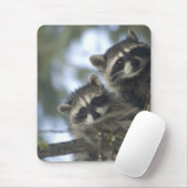 Raccoons Procyon Lotor), Fischsee, Central Mousepad (Mit Mouse)