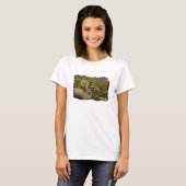 Raccoons T-Shirt (Vorne ganz)