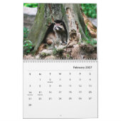 Raccoons Wall Calendar Kalender (Feb 2027)