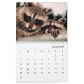 Raccoons Wall Calendar Kalender (Jan 2027)
