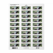 Race Horse Galloping Mailing Labels (Vorne)