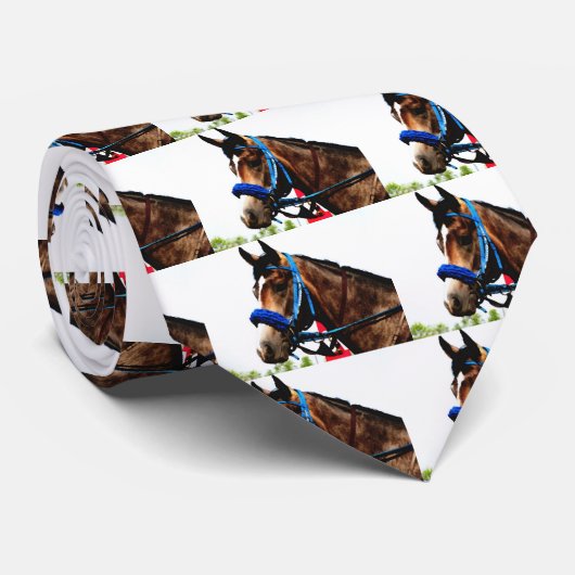 Race Horse Krawatte (Gerollt)