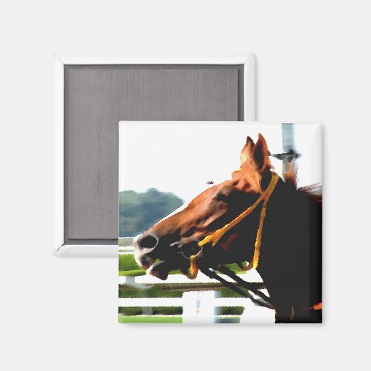 Race Horse Magnet (Vorderseite/Rückseite)