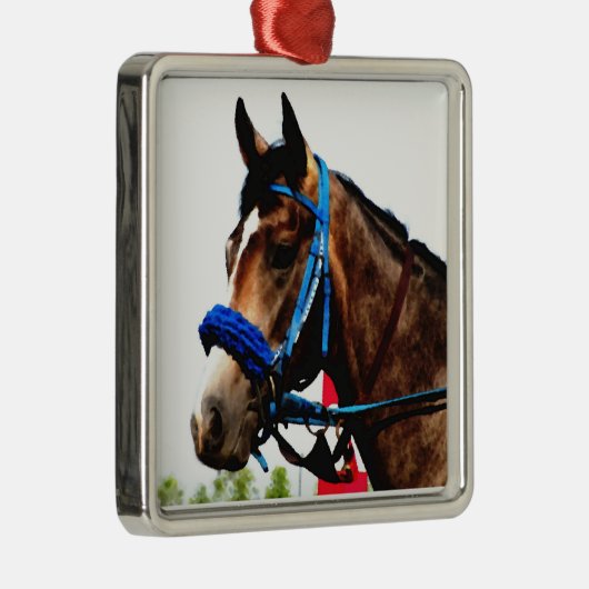 Race Horse Ornament (Rechts)