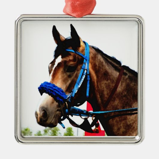 Race Horse Ornament (Vorne)