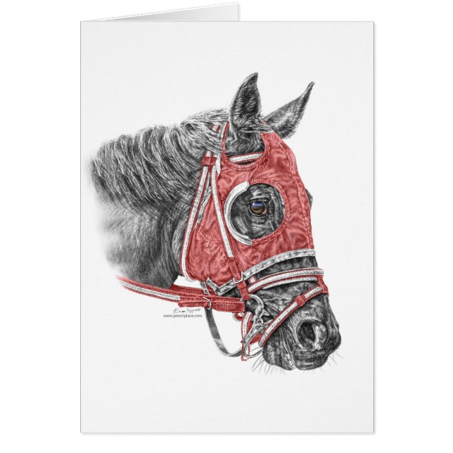 Race Horse Portrait Silks (Vorne)