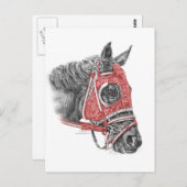 Race Horse Portrait Silks Postkarte (Vorne/Hinten)
