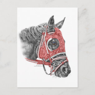 Race Horse Portrait Silks Postkarte