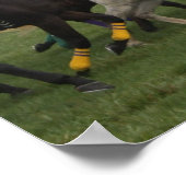 Race Horst Poster Print (Ecke)
