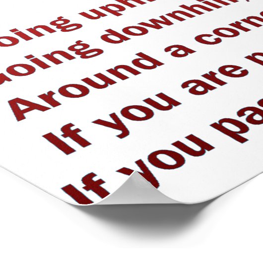 Race Logic Poster (Ecke)