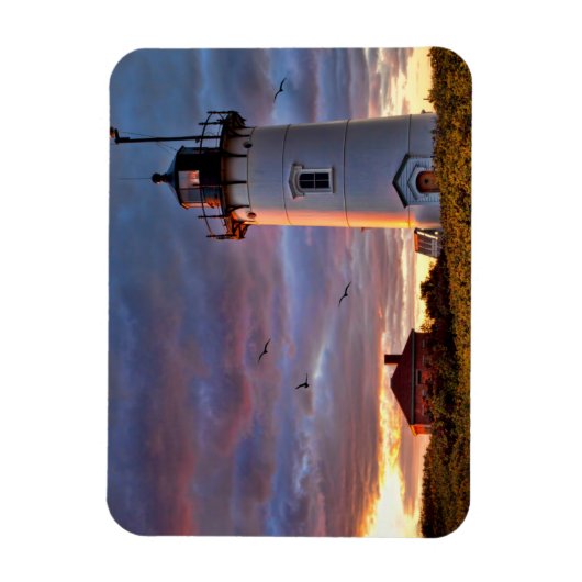 Race Point Lighthouse Magnet (Vertikal)