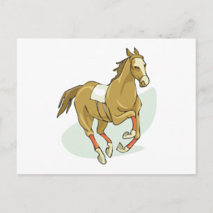 Racehorse Silks Pferderennbahnen Gallps Rassen Postkarte