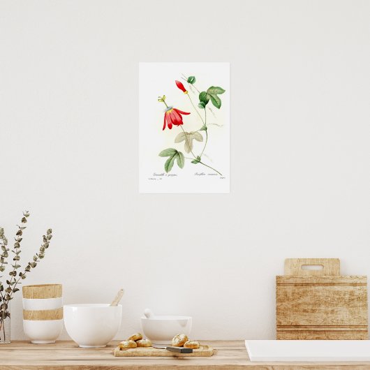 Racemosa Poster (Küche)