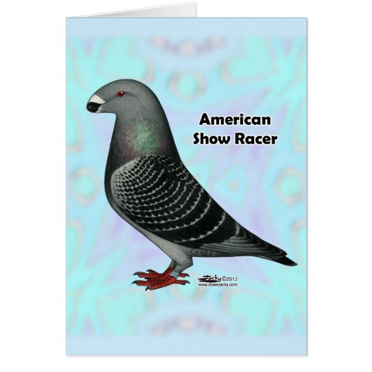 Racer ASR anzeigen (Vorne)