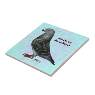 Racer ASR anzeigen Fliese