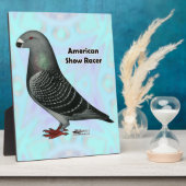 Racer ASR anzeigen Fotoplatte (Seite)