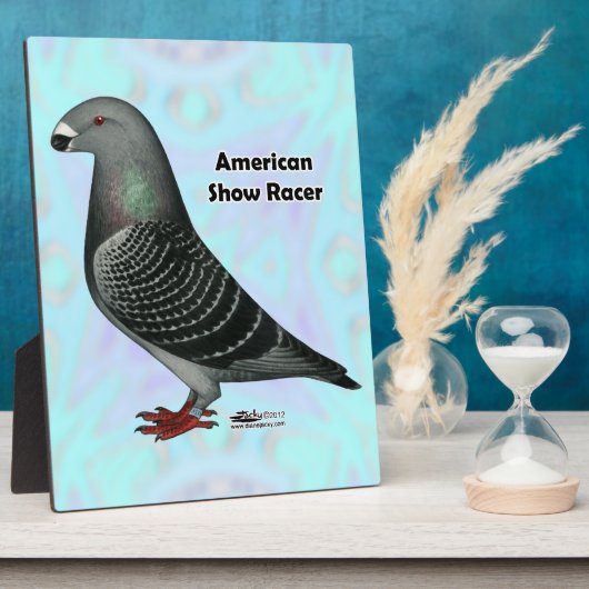 Racer ASR anzeigen Fotoplatte (Seite)