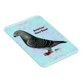 Racer ASR anzeigen Magnet (Rechte Seite)