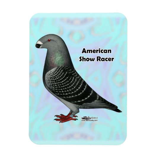 Racer ASR anzeigen Magnet (Vertikal)