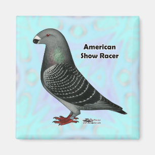 Racer ASR anzeigen Magnet