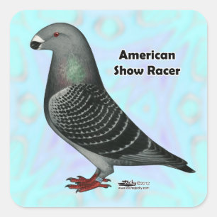 Racer ASR anzeigen Quadratischer Aufkleber