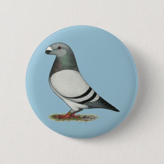 Racer Blue Bar Pigeon anzeigen Button (Vorderseite)