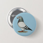 Racer Blue Bar Pigeon anzeigen Button (Vorne & Hinten)