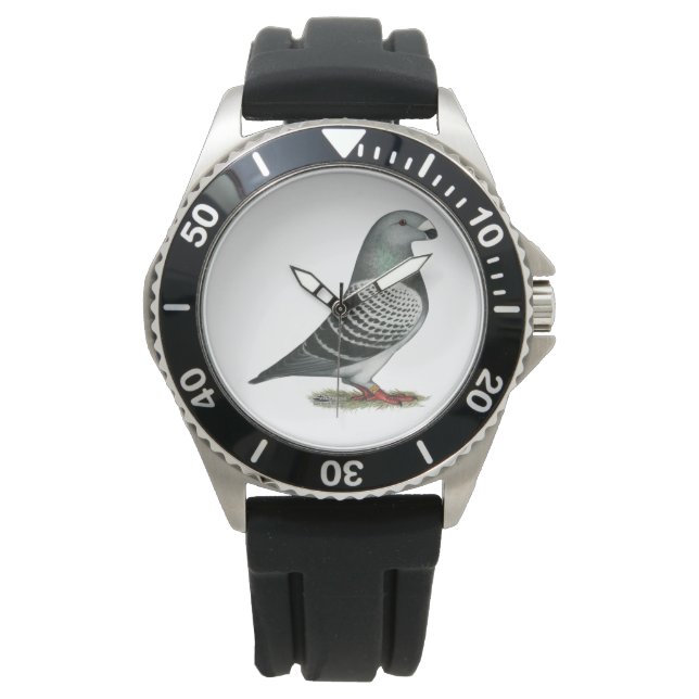 Racer Blue Schachbrett Pigeon anzeigen Armbanduhr (Vorderseite)