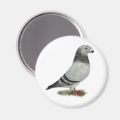 Racer Grizzle anzeigen Magnet (Vorderseite/Rückseite)