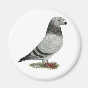 Racer Grizzle anzeigen Magnet