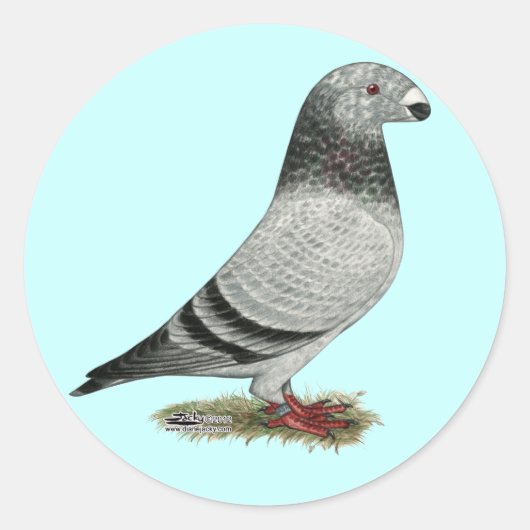 Racer Grizzle anzeigen Runder Aufkleber (Vorderseite)