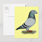 Racer-Konzept anzeigen Postkarte (Vorne/Hinten)